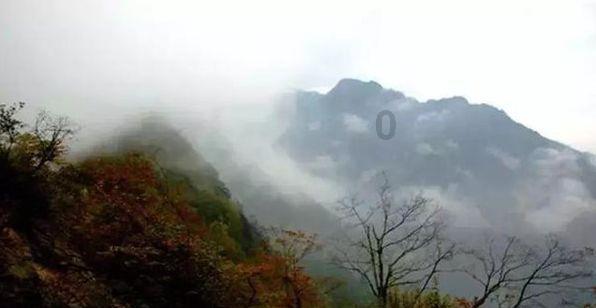 大炮篮球3选关版