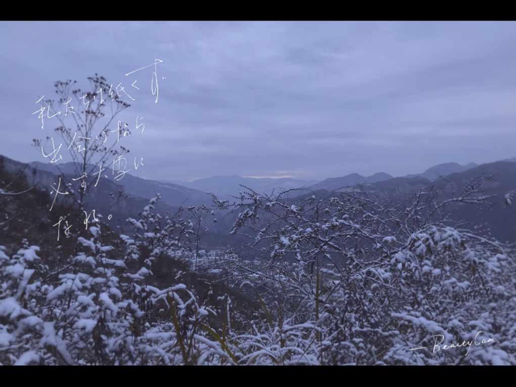 逃出猫头鹰岛